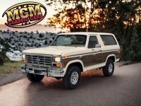 1986 Ford Bronco for sale in Addison, Illinois (ID-113819)