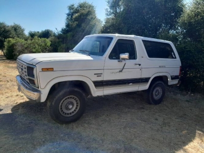 1986 Ford Bronco for sale