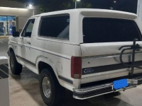 1986 Ford Bronco for sale in Michigan (ID-121318)