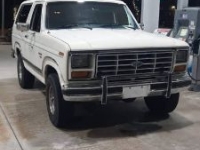 1986 Ford Bronco for sale in Michigan (ID-121318)