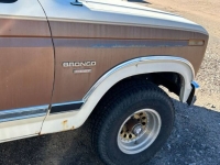 1986 Ford Bronco for sale in Michigan (ID-123666)