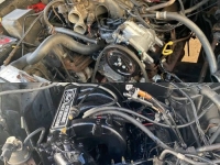 1986 Ford Bronco for sale in Michigan (ID-130029)