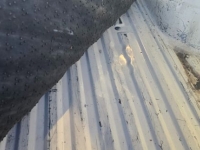 1986 Ford F150 for sale in Michigan (ID-154834)