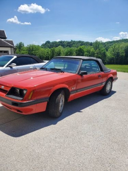 1986 Ford Mustang for sale in Michigan (ID-98551)
