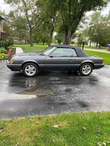 1986 Ford Mustang for sale in Michigan (ID-120956)