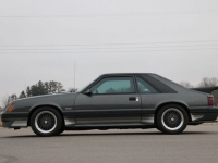 1986 Ford Mustang for sale in Riverhead, New York (ID-124284)