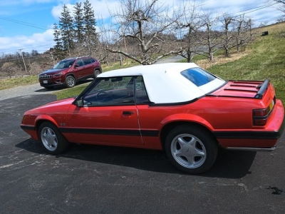 1986 Ford Mustang for sale
