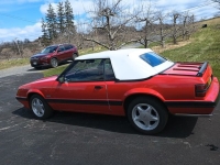 1986 Ford Mustang for sale in Riverhead, New York (ID-127657)