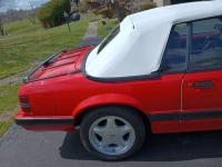 1986 Ford Mustang for sale in Riverhead, New York (ID-127657)