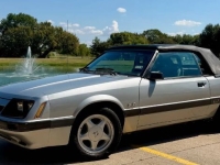 1986 Ford Mustang for sale in Michigan (ID-145369)