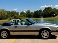 1986 Ford Mustang for sale in Michigan (ID-145369)