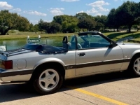 1986 Ford Mustang for sale in Michigan (ID-145369)