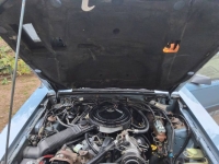 1986 Ford Mustang for sale in Michigan (ID-163700)