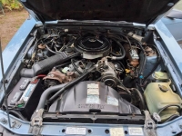 1986 Ford Mustang for sale in Michigan (ID-163700)
