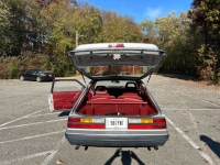 1986 Ford Mustang GT for sale in Michigan (ID-142177)