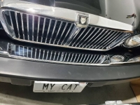 1986 Jaguar XJ6 for sale in Michigan (ID-130183)