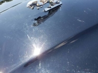 1986 Jaguar XJ6 for sale in Michigan (ID-130183)