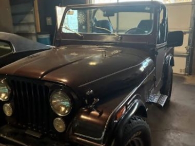 1986 Jeep CJ5 for sale in Michigan
