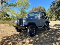 1986 Jeep CJ7 for sale in Michigan (ID-112324)