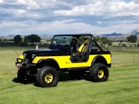 1986 Jeep CJ7 for sale in Michigan (ID-125658)