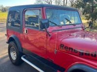 1986 Jeep CJ7 for sale in Michigan (ID-135521)