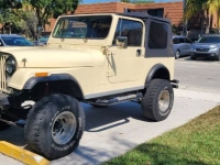 1986 Jeep CJ7 for sale in Michigan (ID-142209)