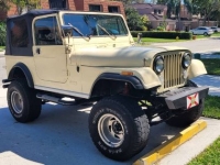1986 Jeep CJ7 for sale in Michigan (ID-142209)