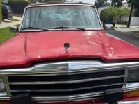 1986 Jeep Grand Wagoneer for sale in Michigan (ID-130963)