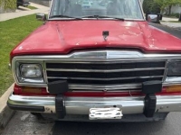 1986 Jeep Grand Wagoneer for sale in Michigan (ID-130963)