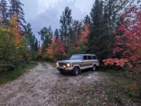 1986 Jeep Grand Wagoneer for sale in Michigan (ID-134949)