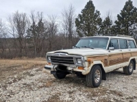 1986 Jeep Grand Wagoneer for sale in Michigan (ID-134949)