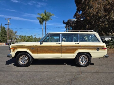 1986 Jeep Grand Wagoneer for sale in Michigan