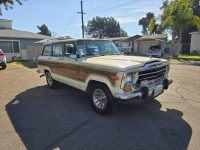 1986 Jeep Grand Wagoneer for sale in Michigan (ID-140975)