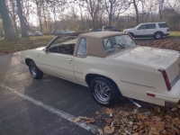 1986 Oldsmobile Cutlass for sale in Michigan (ID-139492)