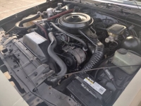 1986 Oldsmobile Cutlass for sale in Michigan (ID-139492)