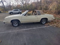 1986 Oldsmobile Cutlass for sale in Michigan (ID-139492)