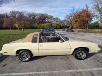 1986 Oldsmobile Cutlass for sale in Michigan (ID-139492)