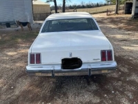 1986 Oldsmobile Cutlass for sale in Michigan (ID-162272)