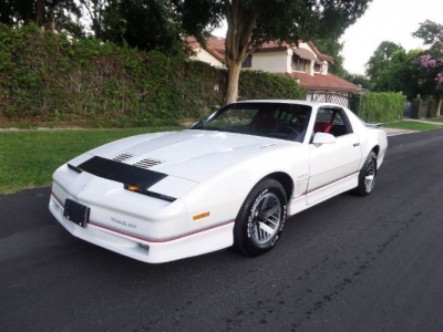 1986 Pontiac Firebird for sale 1986 Pontiac Firebird for sale
