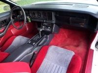 1986 Pontiac Firebird for sale in Michigan (ID-122755)