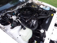 1986 Pontiac Firebird for sale in Michigan (ID-122755)