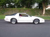 1986 Pontiac Firebird for sale in Michigan (ID-122755)