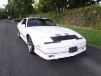 1986 Pontiac Firebird for sale in Michigan (ID-122755)