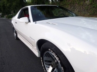 1986 Pontiac Firebird for sale in Michigan (ID-122755)