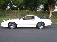 1986 Pontiac Firebird for sale in Michigan (ID-122755)
