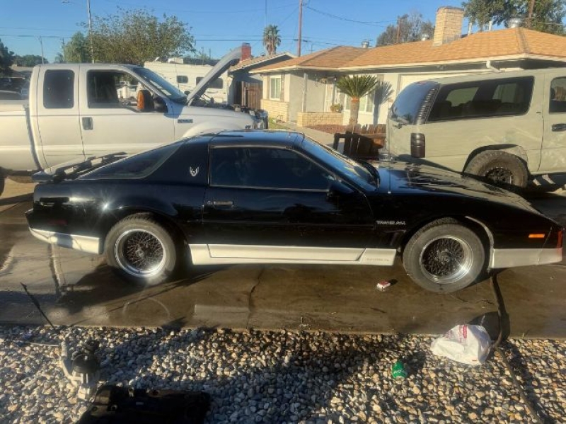 1986 Pontiac Firebird for sale in Michigan (ID-146046) 1986 Pontiac Firebird for sale in Michigan (ID-146046)