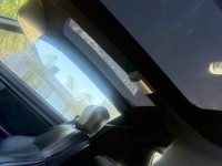 1986 Pontiac Firebird for sale in Michigan (ID-146046)