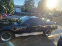 1986 Pontiac Firebird for sale in Michigan (ID-146046)