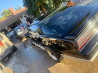 1986 Pontiac Firebird for sale in Michigan (ID-146046)