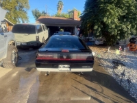 1986 Pontiac Firebird for sale in Michigan (ID-146046)